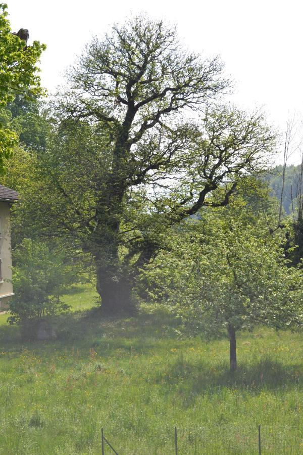 L'Echo des Montagnes Armoy Exterior foto